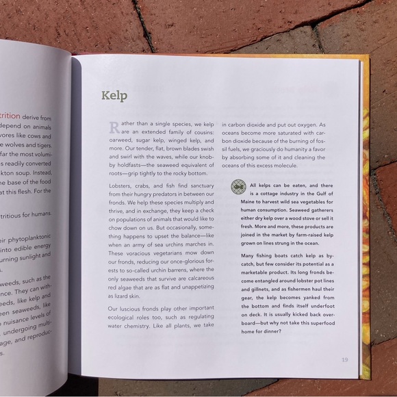 Simmering the Sea Diversifying Cookbook Sustainability Rhode Island Seafood Fish - Picture 5 of 10